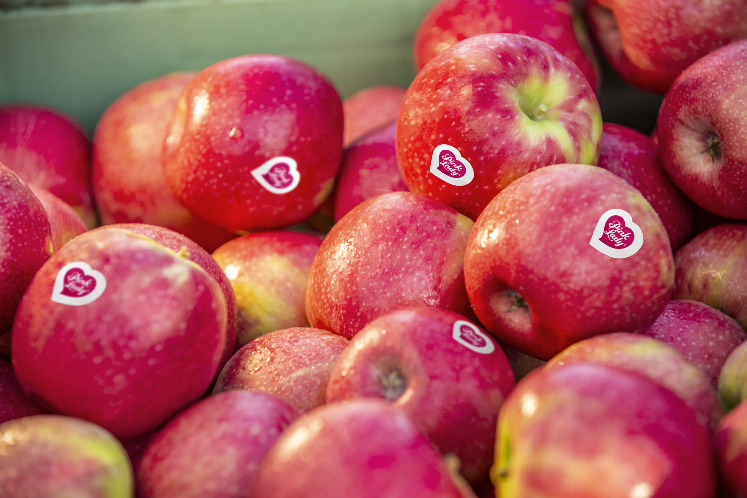 Pink Lady apples