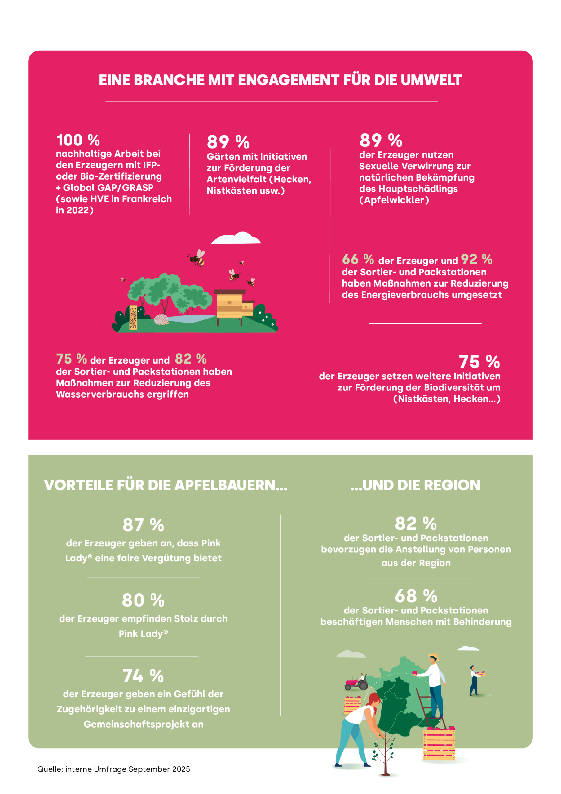 Pink Lady Infografik